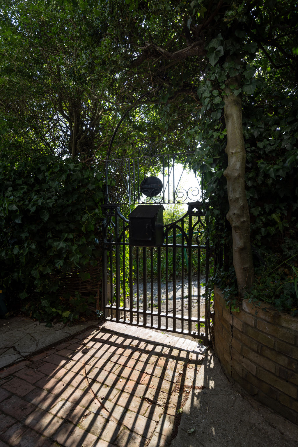 Photo 19